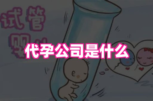 无锡助孕网 4